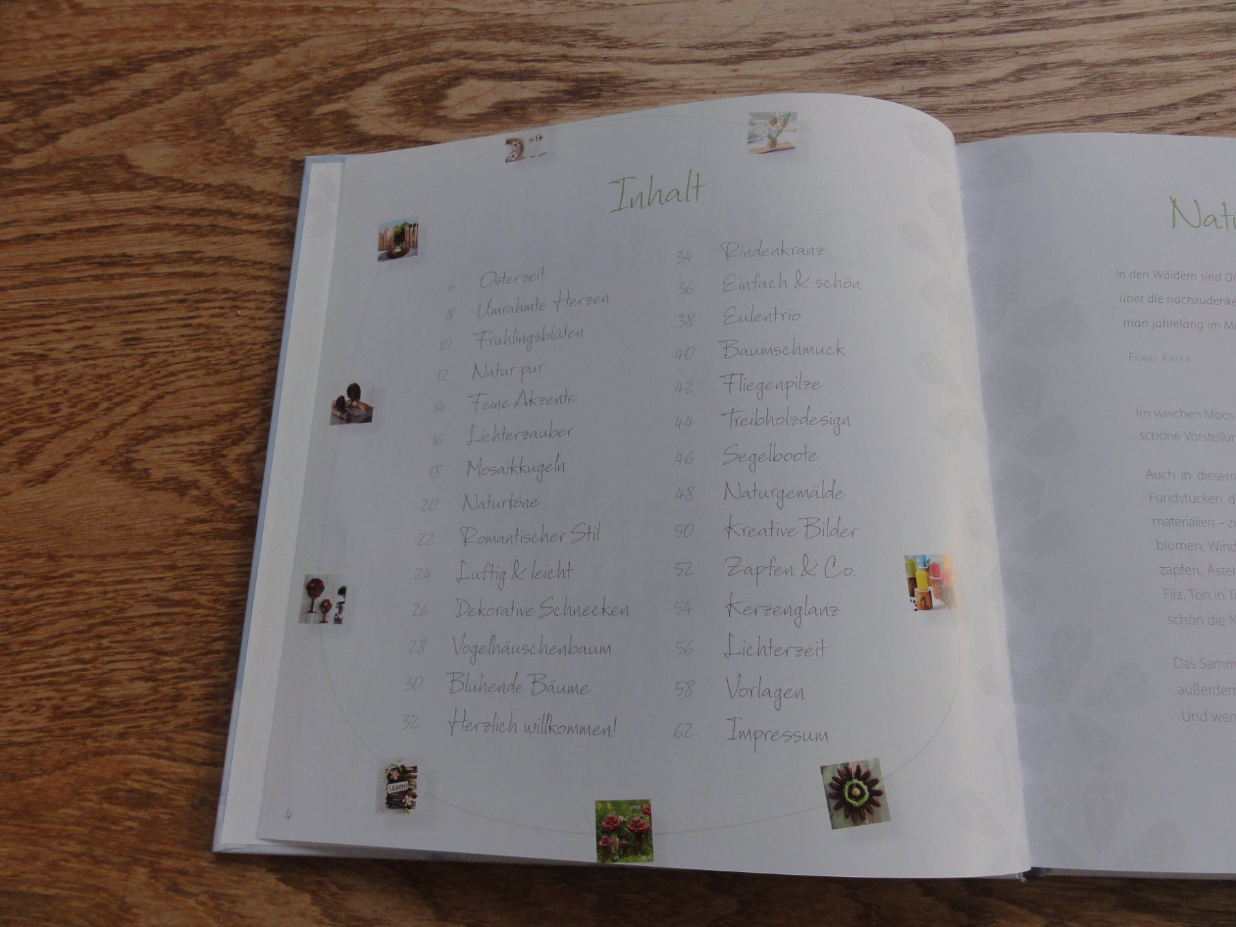 Libri: Deko-Ideen Natur – Nuovo (secondo la descrizione) da Riedholz venduto da Taweva 1
