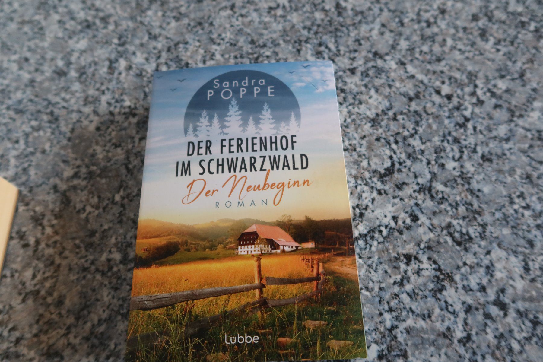 Libri: Der Ferienhof im Schwarzwald – Usato da Täuffelen venduto da Cindybussy