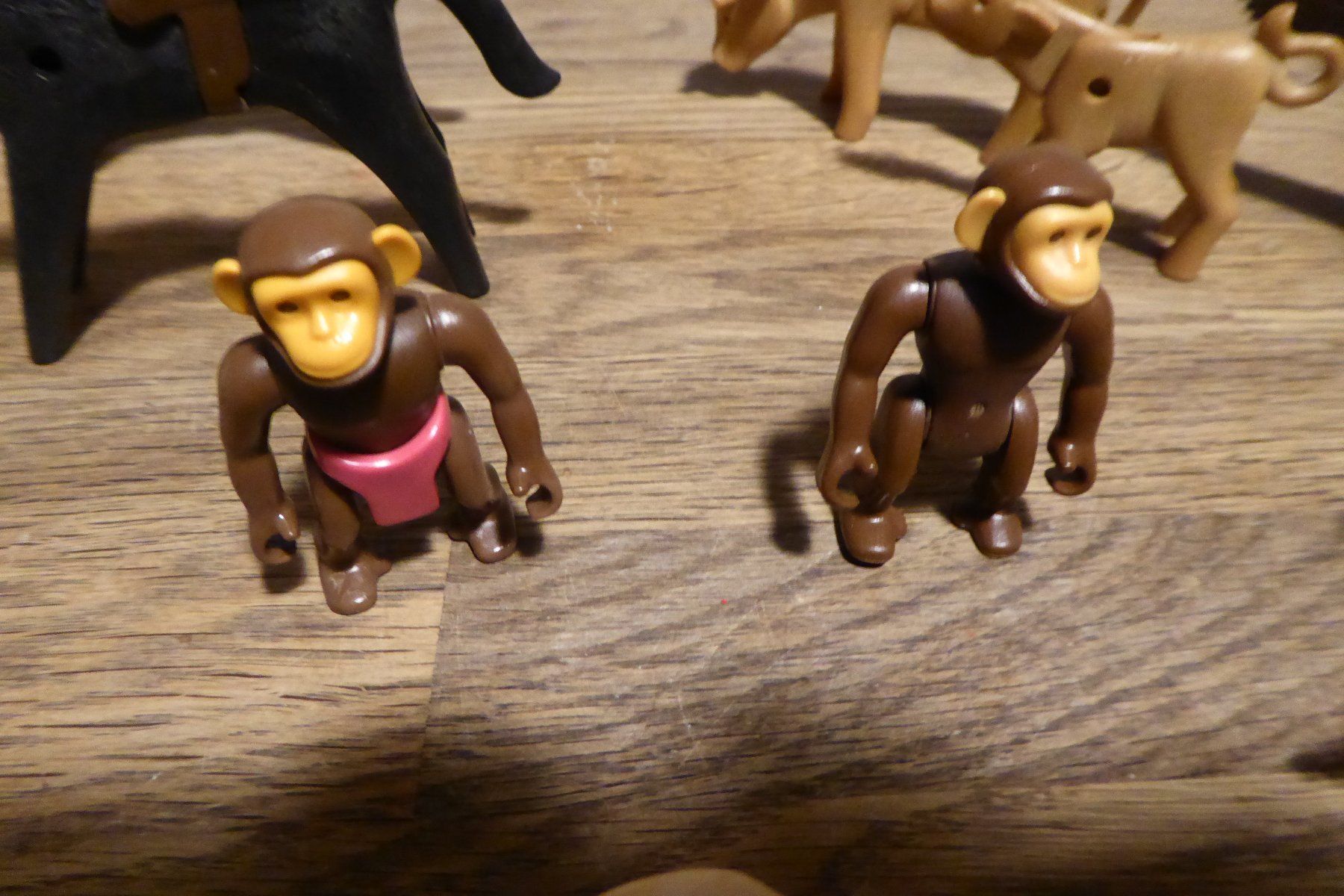 Playmobil Giocattoli: Playmobil Tiere – Usato da Allschwil venduto da Summelsarium 5