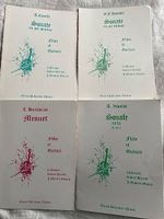 4 Musiknoten für Flöte und Gitarre