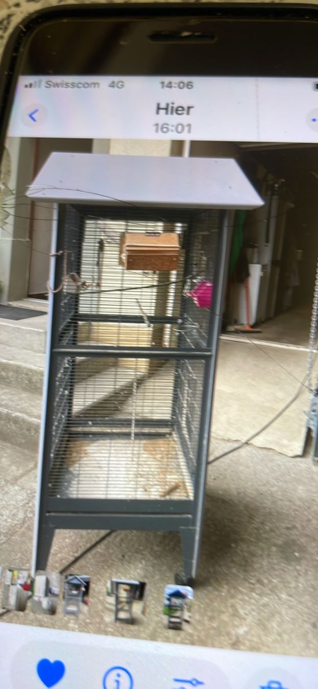 Gabbie, trasporto & Sicurezza: grande cage a oiseau – Usato da Maracon venduto da Caro1613 1
