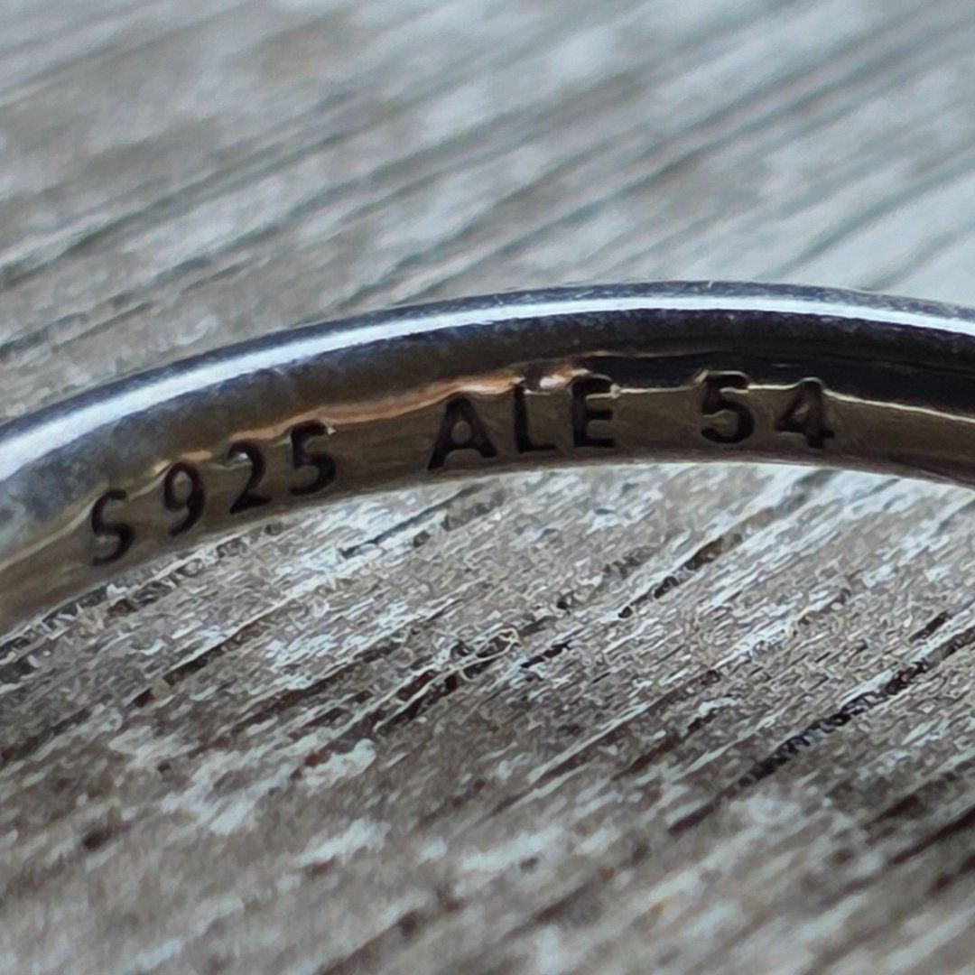 Pandora Anelli: 🐸 PANDORA 925 SILBER RING 54 – Nuovo (secondo la descrizione) da Môtier (Vully) venduto da Frogs 5