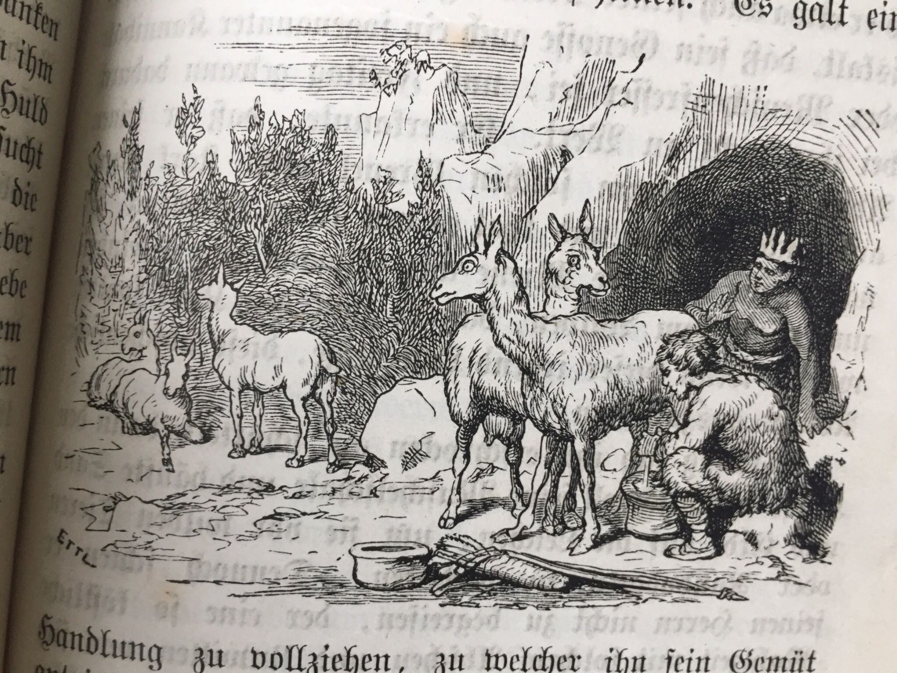 Libri: Robinson der Jüngere 1889 – Usato da Gerlikon venduto da jabadabadu 9