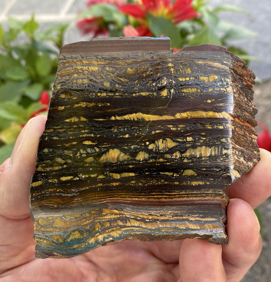 Mineralien & Heilsteine: Schöne Tiegereisen Platte  – Gebraucht aus Selzach von 321compac 6
