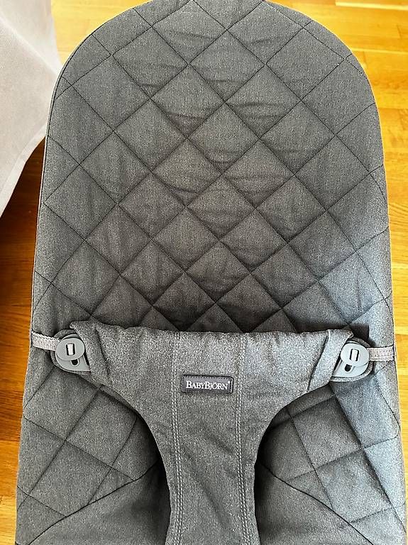 Wippen & Schaukeln: Babybjörn Kinderwippe  – Gebraucht aus Solothurn von nic_p5qz 1