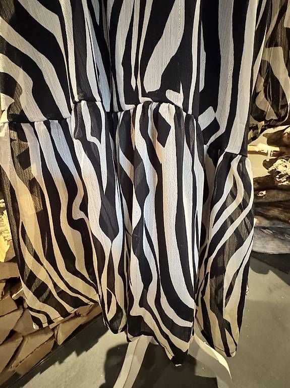 Vestiti: Kleid Zebra Grösse 44 – Usato da Schönenberg ZH venduto da Maieriisli68 1