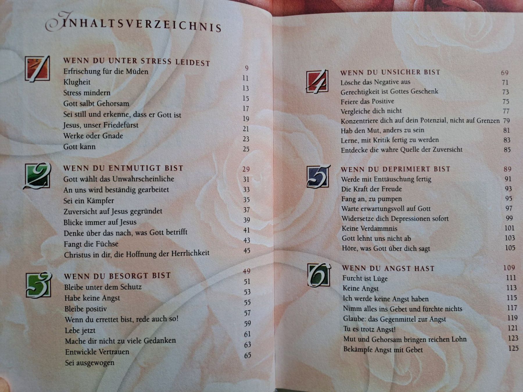 Libri: Buch 'Lass dich nicht entmutigen' Joyce Meyer – Nuovo (secondo la descrizione) da Volketswil venduto da ronbons 3