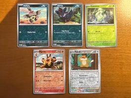 Pokemon Reverse Karten Set (Versand gratis)
