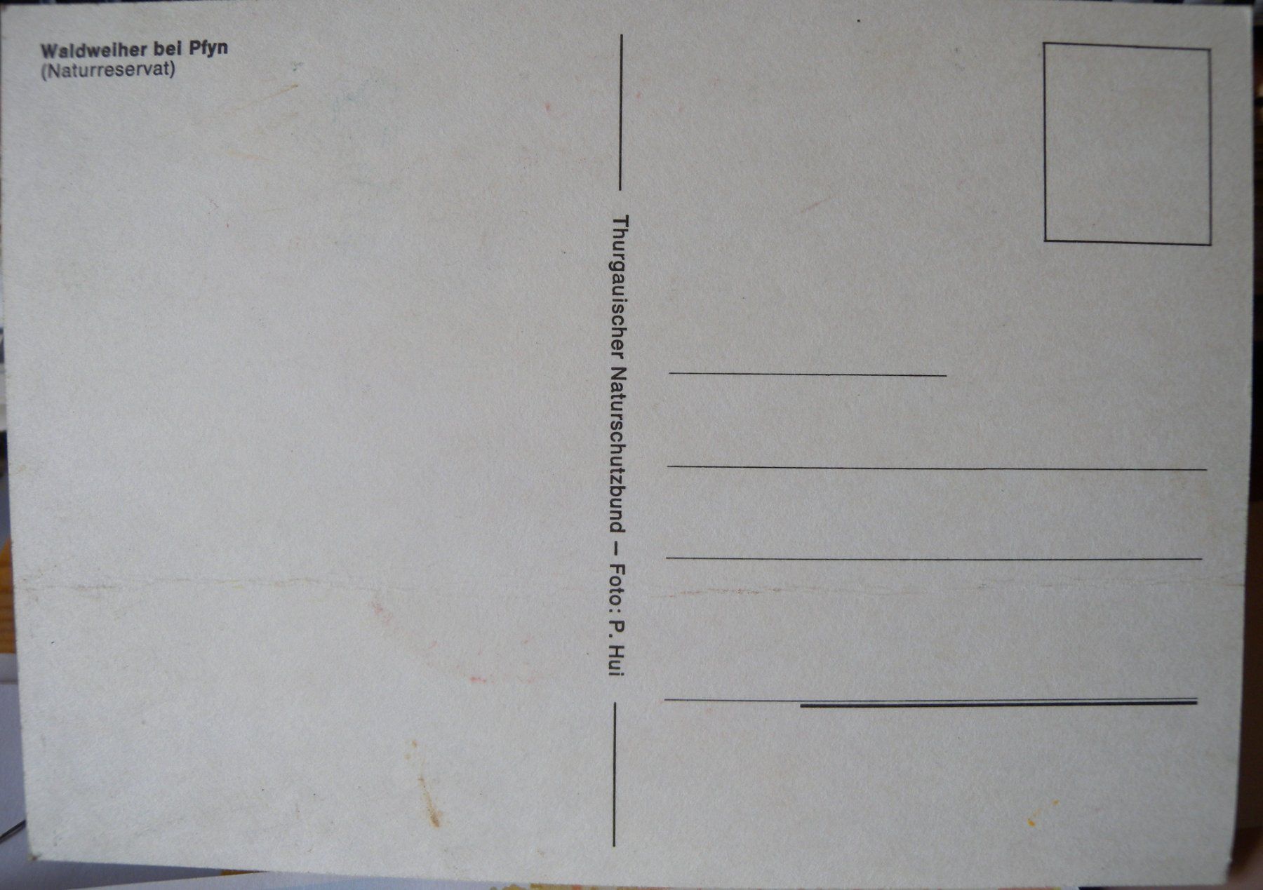 Cartoline postali: Alte Ansichtskarte Waldweiher bei Pfyn, Thurgau – Usato da Hauenstein venduto da davia72 1