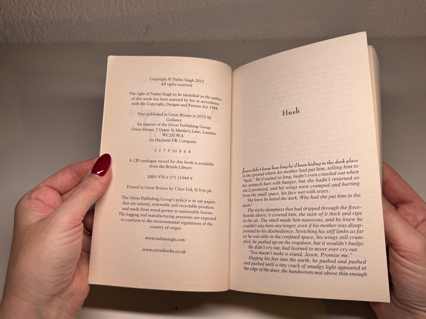 Bücher: NOVEL: Nalini Singh, Archangel's Storm – Gebraucht aus Grosswangen von English_books 3