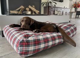 Dog's Company Hundebett gross