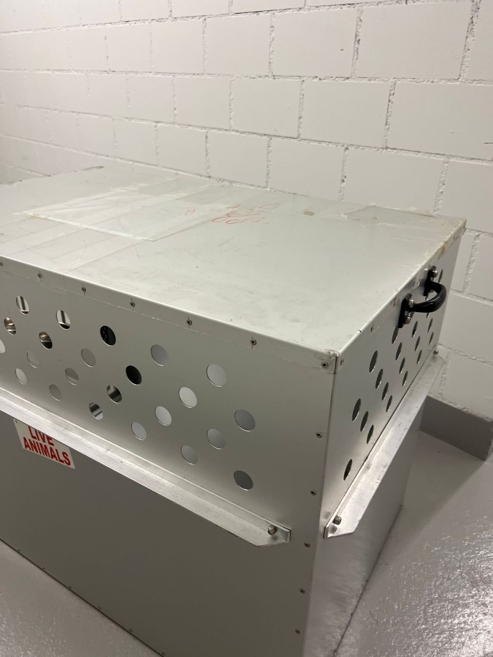 Gabbie, trasporto & Sicurezza: Alu-Hunde-Transportbox – Usato da Steinhausen venduto da Oberli80 2