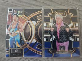 Carte WWE Select 2024 1-2-3 Kid & Freddie Blassie