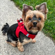 Profile image of TipTv