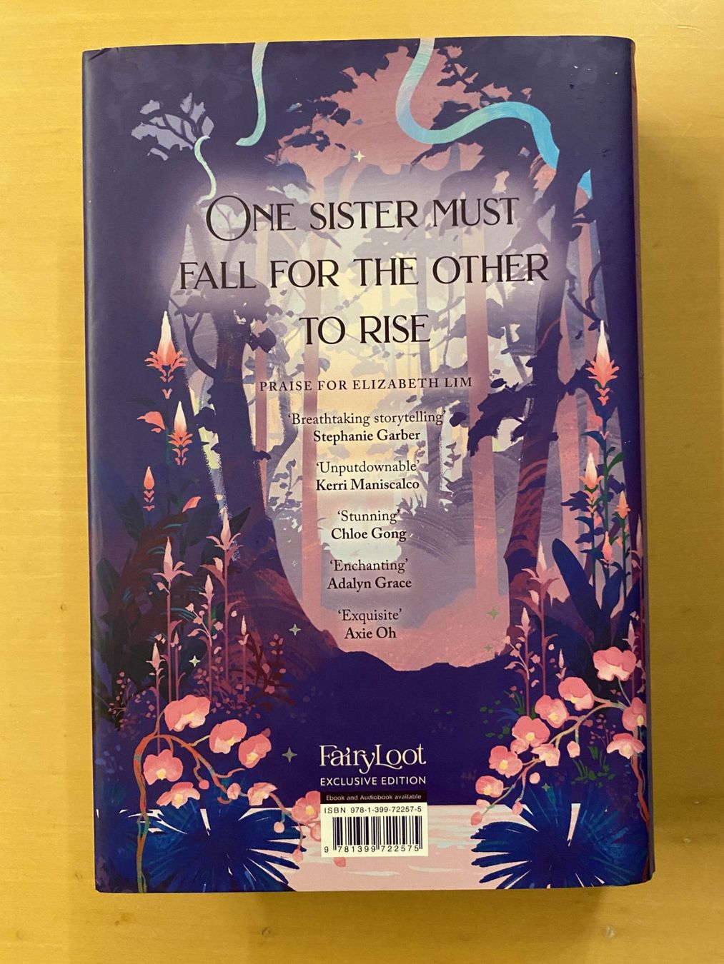 Libri: Her Radiant Curse - Fairyloot exclusive – Usato da Winznau venduto da sadamu 2