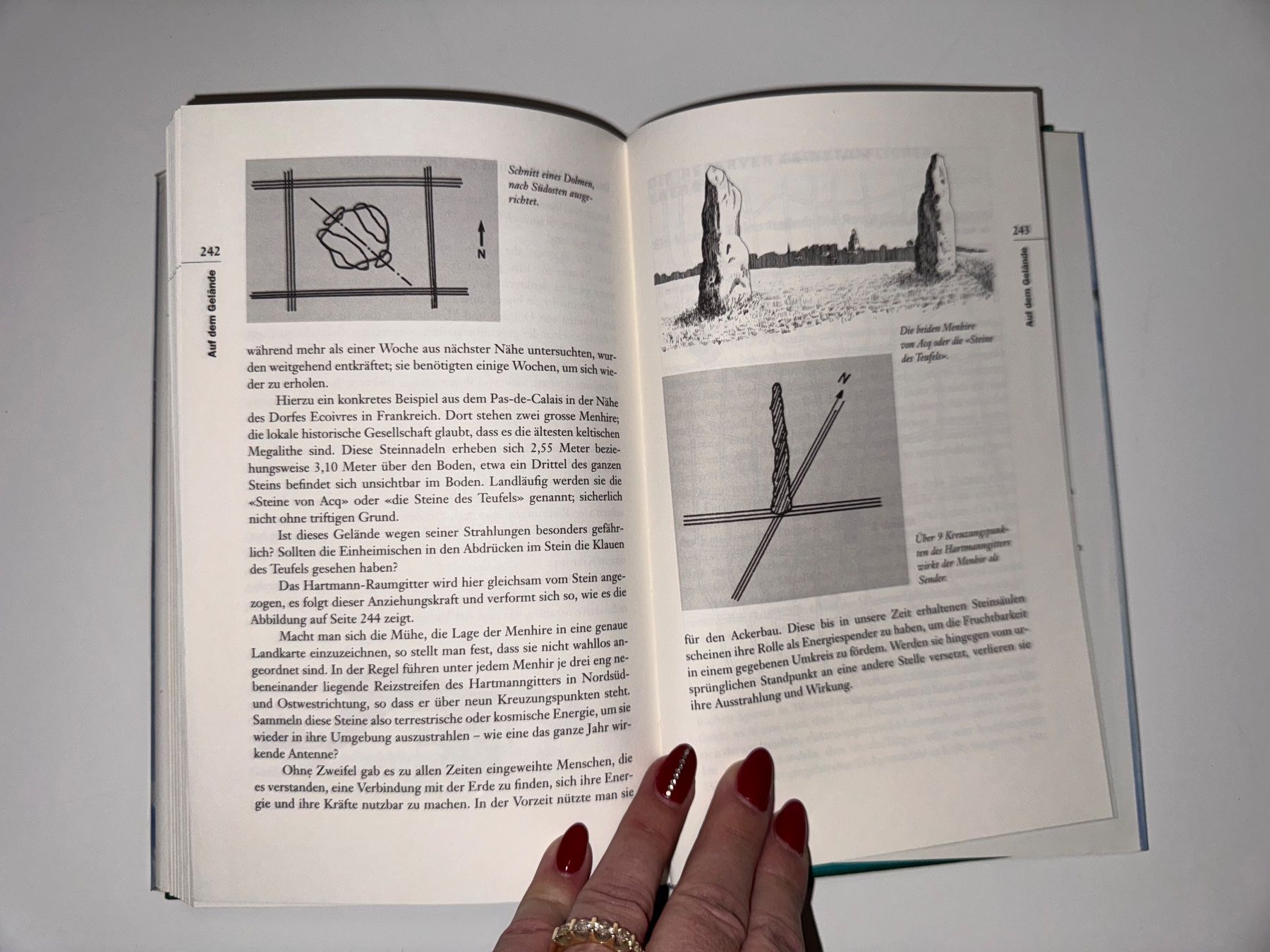 Libri: BUCH: Blanche Merz, Orte der Kraft – Usato da Grosswangen venduto da Second_hand_paradise 7