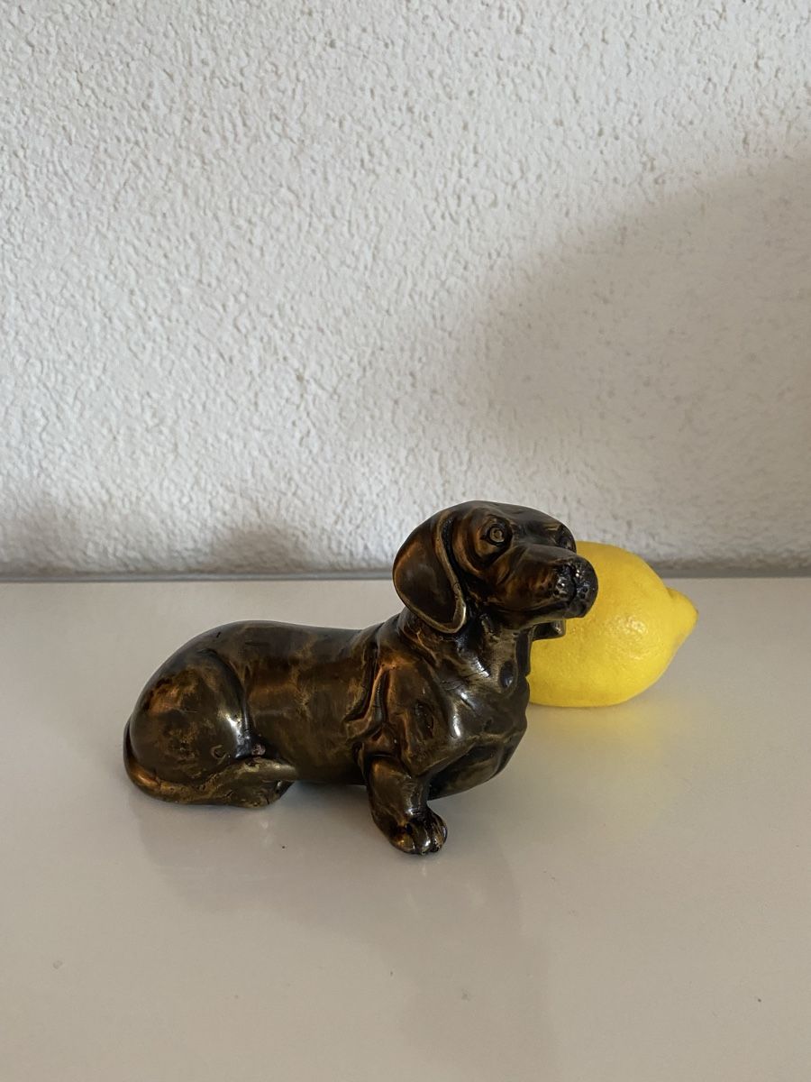 Statuette: Bronze Dackel gross – Nuovo (secondo la descrizione) da Zürich venduto da eileenchen1