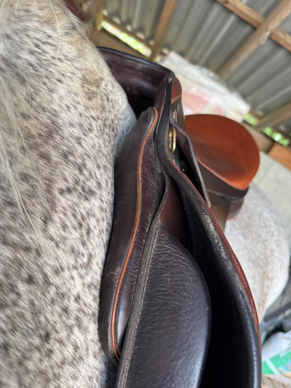 Selles, accessoires: Sommer Sattel Esprit 17.5, Kammer 31,5 – D'occasion à Suberg par BlueSea 6