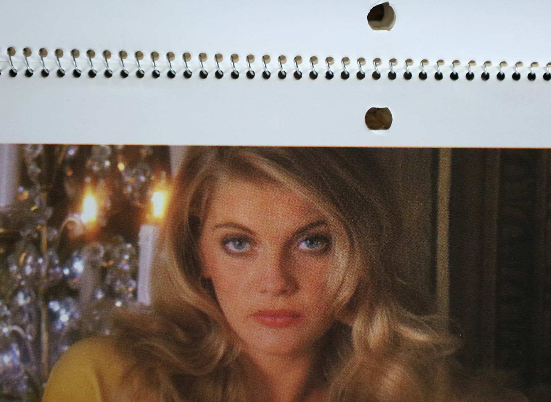 Playboy Calendari: PLAYBOY Kalender 1980 – Usato da Birrwil venduto da brandschatz_birrwil 5