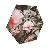 Hexagon Alu-Dibond 35x30cm (neu, UVP 46.90 Fr.)