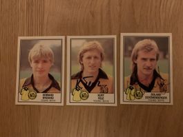 Young Boys 3 Autogramme Brodard, Schönenberger, Feuz 1982