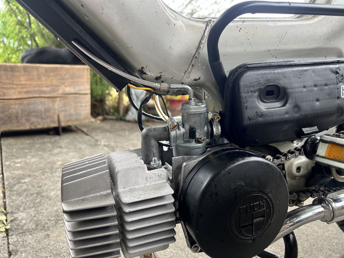 Puch Mofas: Puch Maxi S – Gebraucht aus Stadel von lev_k9j8 4