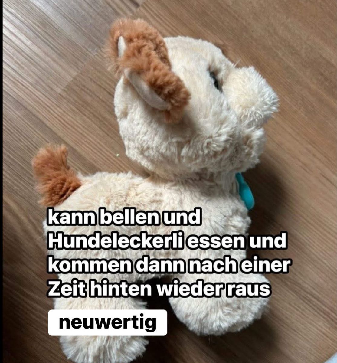 FurReal Giocattoli: 2 Fur Real Hunde – Usato da Goldiwil (Thun) venduto da chrigle24