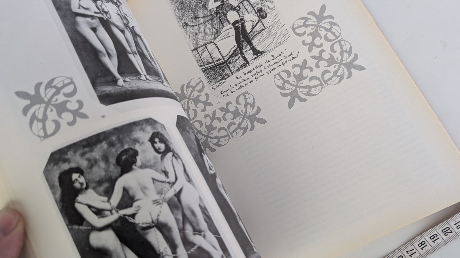 Libri: Buch "French Undressing" - Naughty Postcards, Vintage! – Usato da Zürich venduto da axolottchen 8