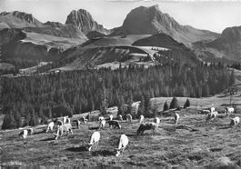 Gantrisch Gebiet alp G
