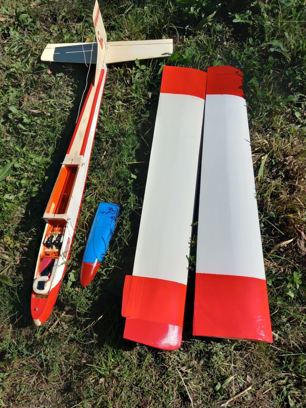 Multiplex RC Modellbau: RC Modell Multiplex Filius – Gebraucht aus Givisiez von Reiffel 3