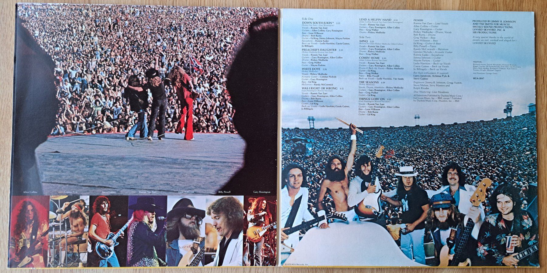 Schallplatten: Lynyrd Skynyrd - Skynyrd's First and Last – Gebraucht aus Meggen von Ricardokoch 2