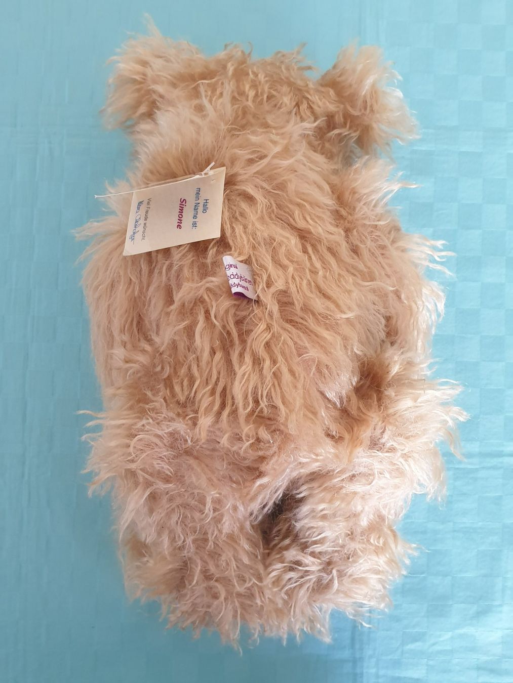 Giocattoli: Teddybär Teddy Helena Oberholzer Simone – Usato da Mörschwil venduto da spirspi 5