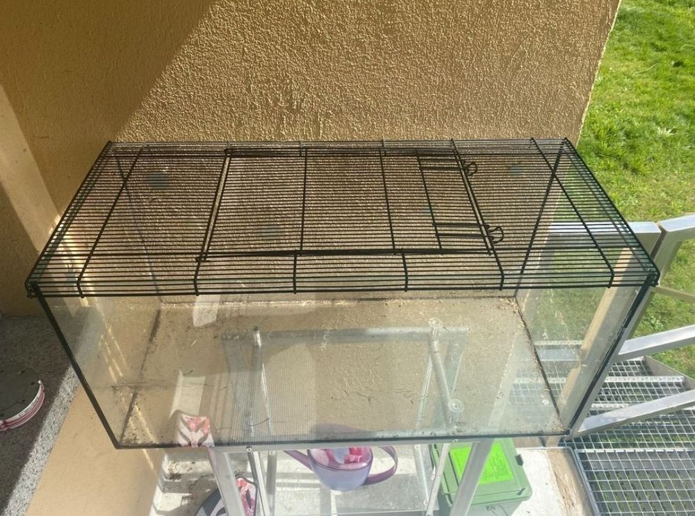 GlasTerrarium Kaufen auf Ricardo