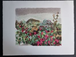 ANTON BUOB LITHOGRAPHIE SIGNIERT NUMMERIERT