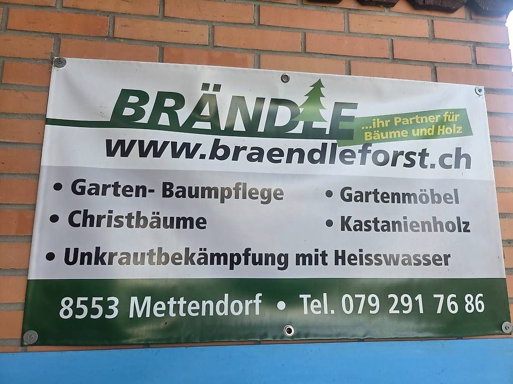 Bänke: Rundholzbank lasiert – Gebraucht aus Mettendorf TG von 892421 3