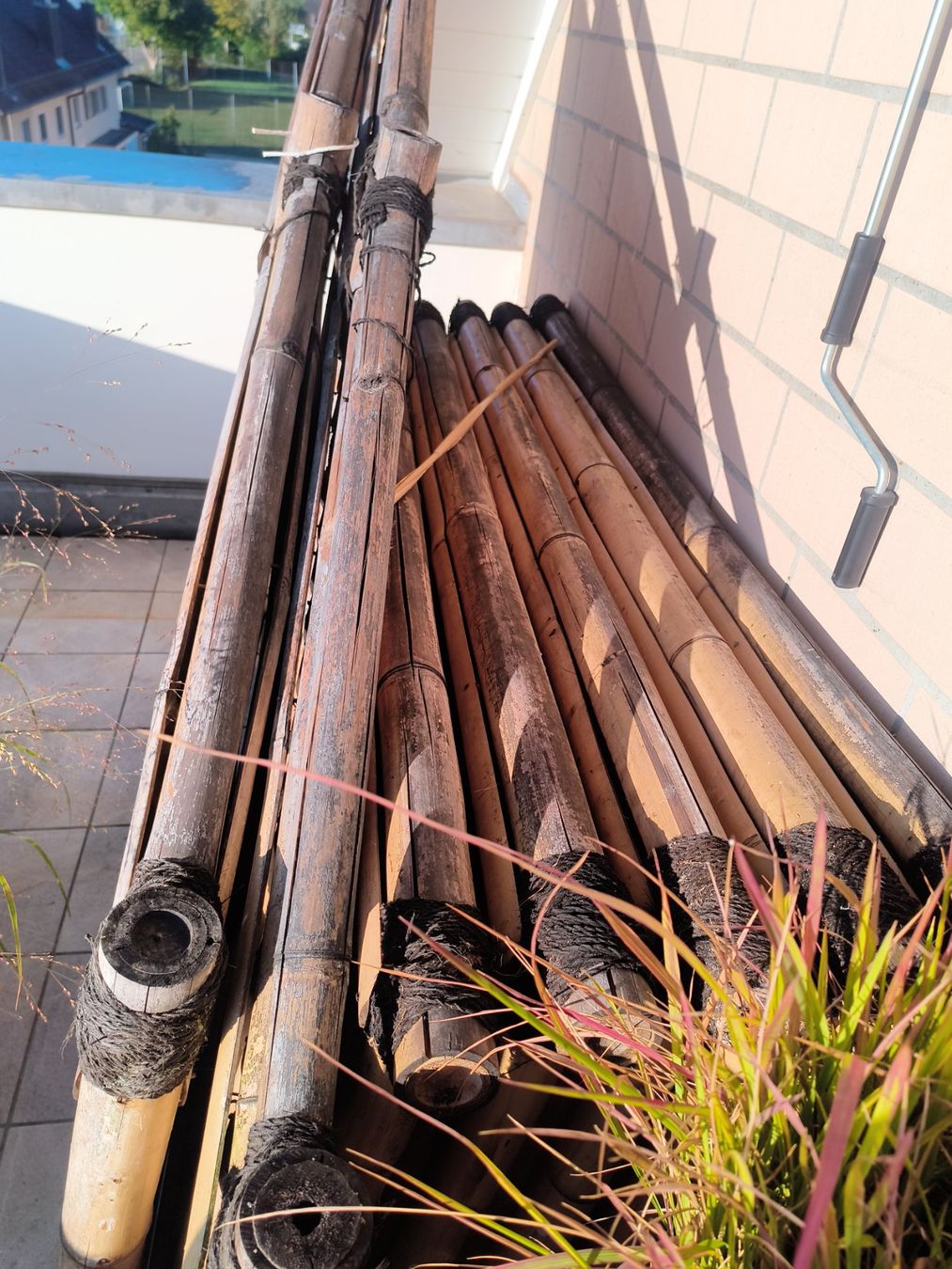 Fendivista: Bambus Zaun /Sichtschutz – Usato da Niederglatt ZH venduto da wit_rs5w 5
