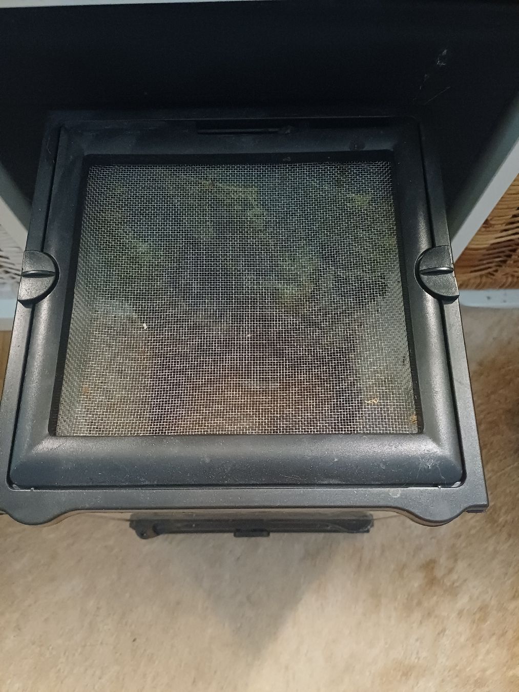 Terrario: Exo Terra Terrarium 20x20x30 – Usato da Thalwil venduto da Skorp96 1