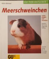 Buch Tier-Ratgeber Meerschweinchen