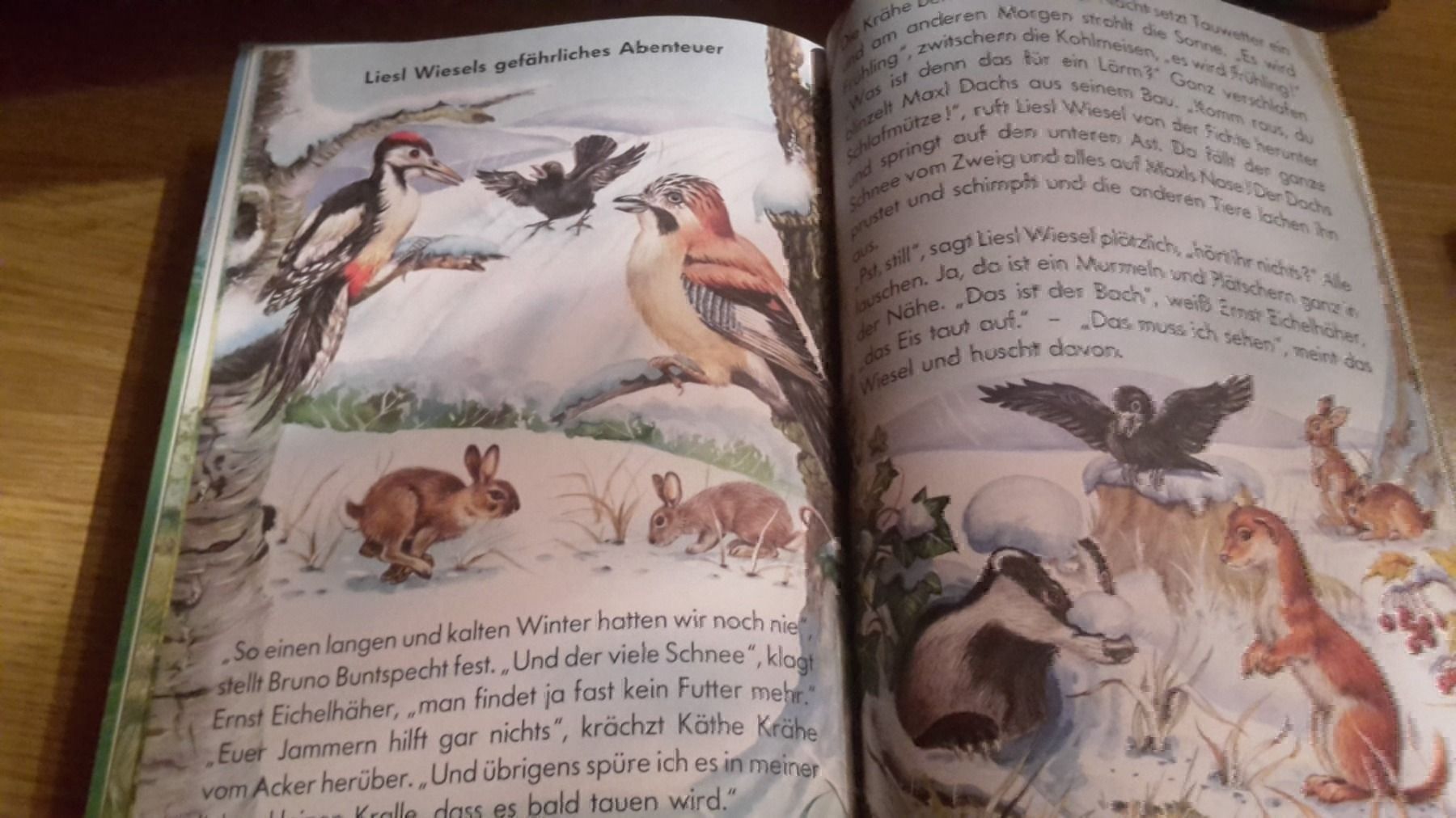 Libri: Buch Die schönsten Tiergeschichten – Nuovo (secondo la descrizione) da Schwarzenburg venduto da Flamingo07 2