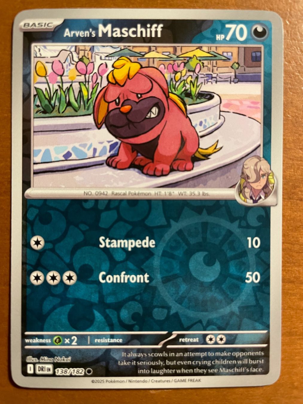 Pokémon Carte collezionabili: Pokemon Arven's Maschiff Reverse (Versand gratis) – Nuovo (secondo la descrizione) da Chur venduto da Angerson