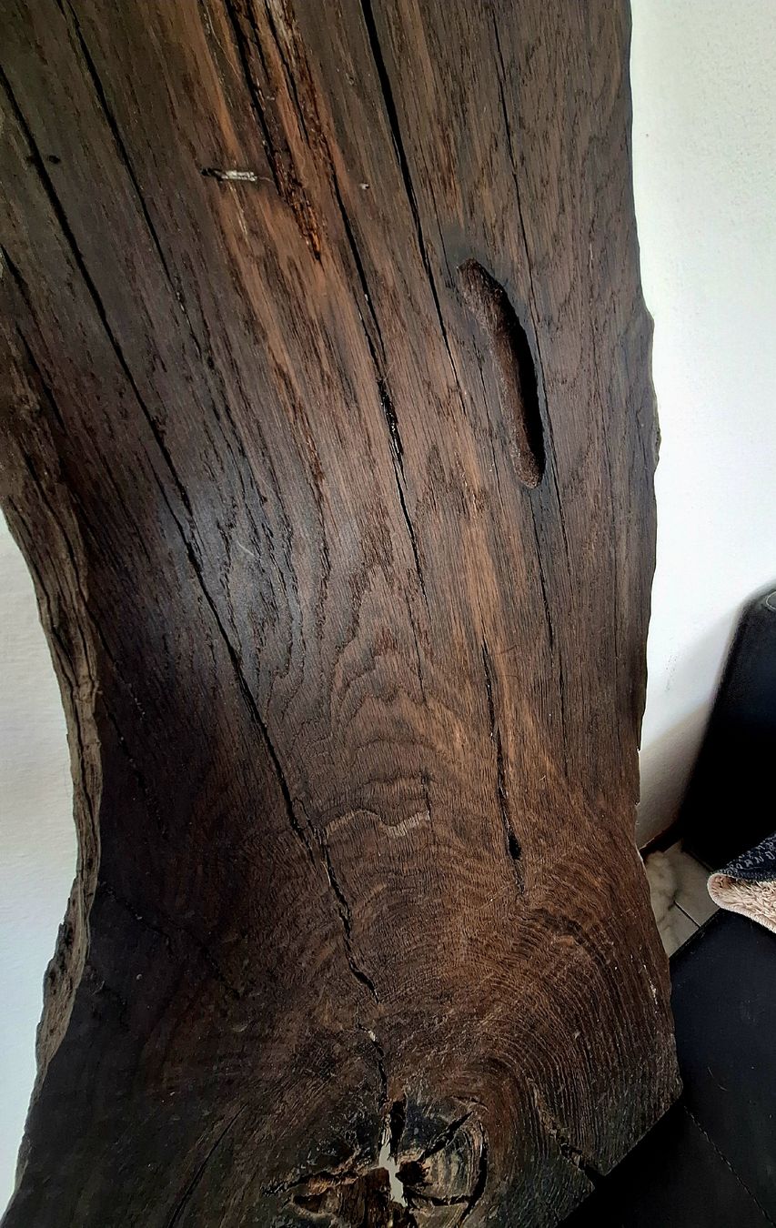 Articoli in legno: Mooreiche Seeland – Nuovo (secondo la descrizione) da Mümliswil venduto da Arva 1