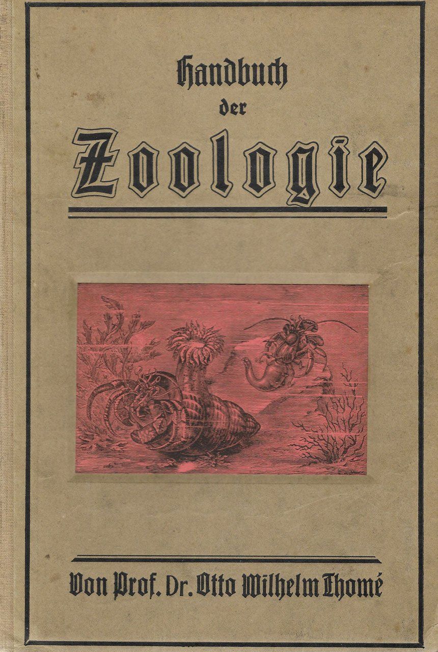 Bücher: Handbuch der Zoologie 1914 – Gebraucht aus Bern von Grindelwaldaus