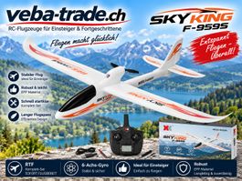 Segelflugzeug Sky King, Spw 750mm, RTF-Set mit Gyro