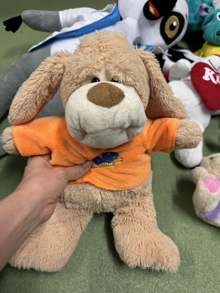 Giocattoli: Plüschtiere Set, Hase, Pikachu, Pinguin uvm. – Usato da Jona venduto da Good_luck_ 1