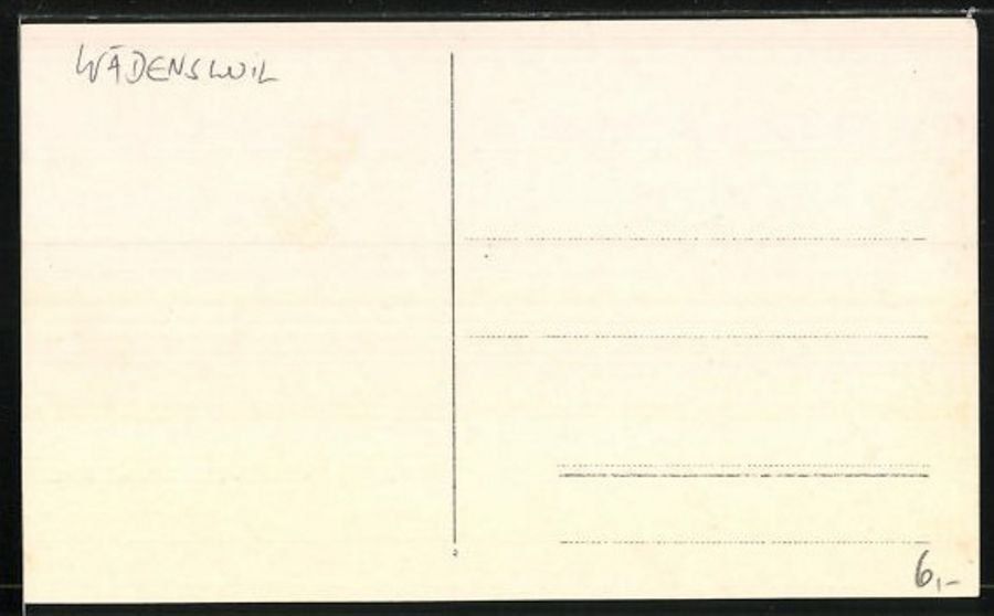 Cartoline postali: Wädenswil, verkleideter Mann, um 1920-30 – Usato da Frauenfeld venduto da POML 1