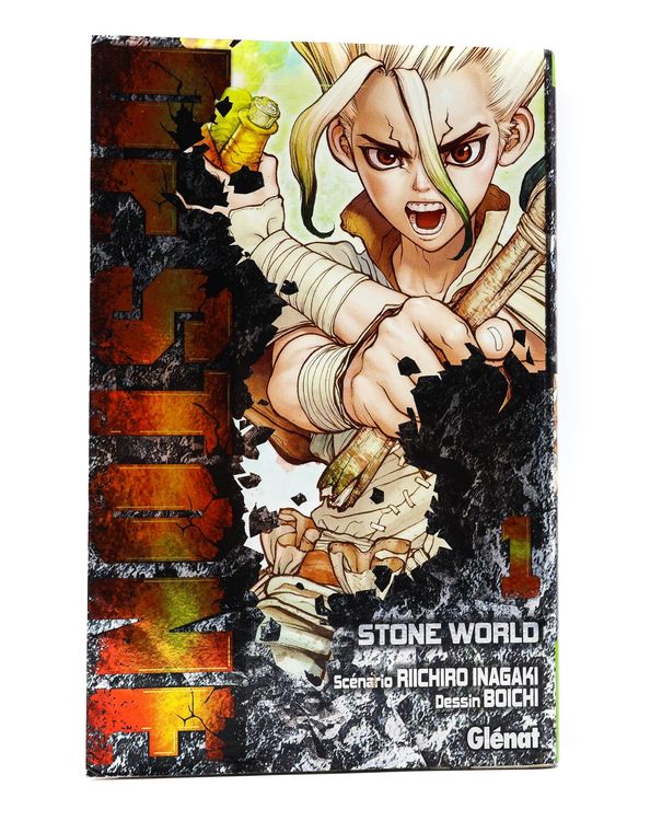 Fumetti: Dr. Stone Tome 1 - Manga - FR – Usato da Paudex venduto da dindeboy