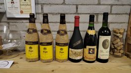 6 Flaschen Wein aus Spanien