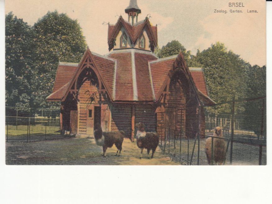 Cartoline postali: Basel Zolli ca. 1910 – Usato da Bürglen TG venduto da StampGraf