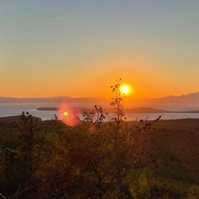 Profile image of sunsetever