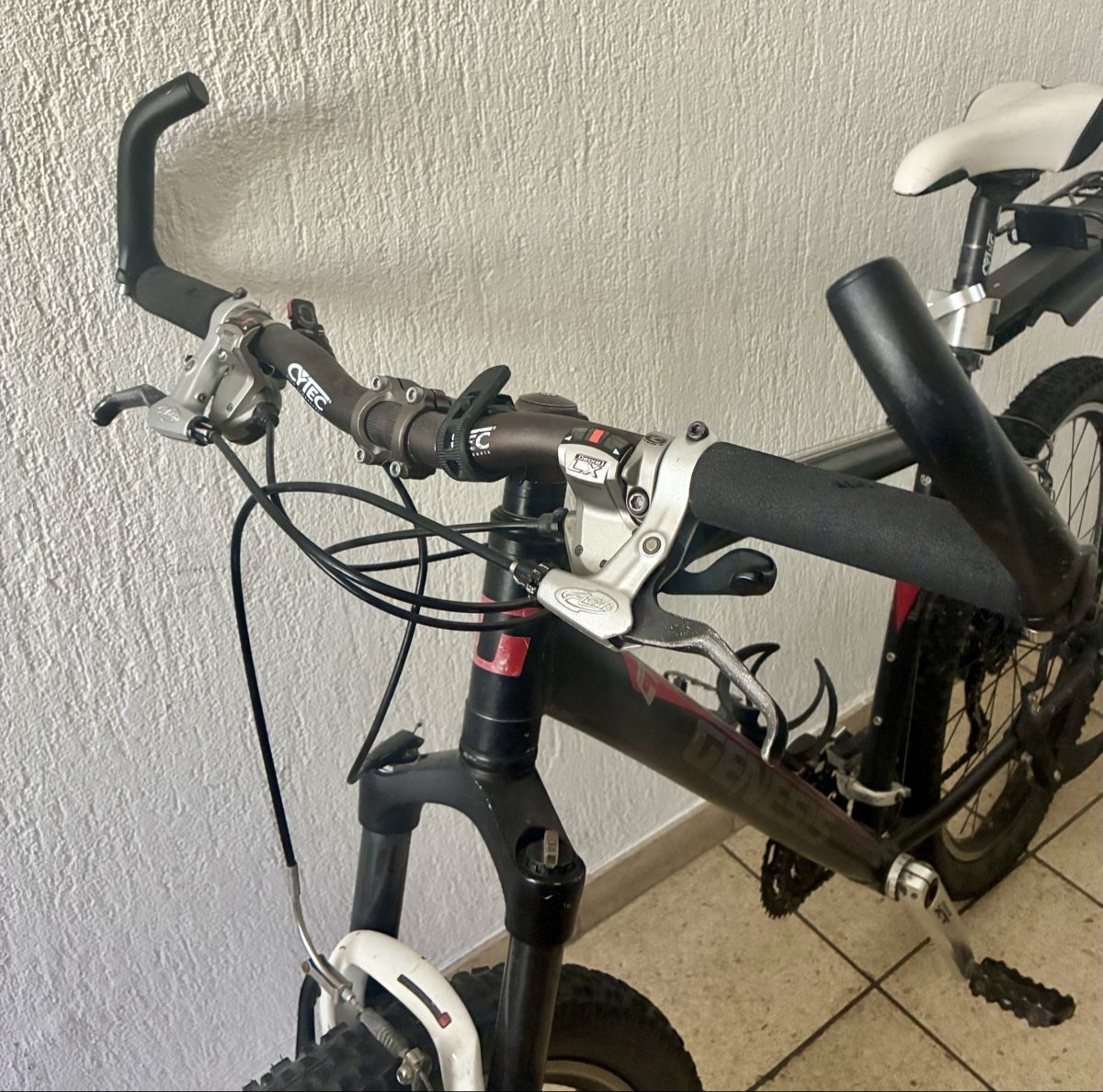 Genesis Biciclette: Genesis Mountain Bike Limited Edition – Usato da Unterengstringen venduto da vivienneberger 4